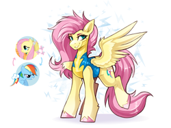 Size: 2988x2234 | Tagged: safe, artist:buvanybu, fluttershy, rainbow dash, pegasus, pony, g4, alternate cutie mark, alternate hairstyle, clothes, cutie mark swap, duo, duo female, female, grin, mare, personality swap, raised leg, simple background, smiling, solo, spread wings, swapped cutie marks, uniform, unshorn fetlocks, white background, wings, wonderbolt trainee uniform