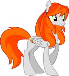 Size: 3393x3756 | Tagged: safe, artist:anonymous, oc, oc only, oc:ginger peach, pegasus, pony, g4, concave belly, female, mare, show accurate, simple background, solo, thin, transparent background, vector