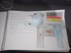 Size: 4000x3000 | Tagged: safe, artist:super-coyote1804, pony, unicorn, deutsche tourenwagen masters, dtm, formula 1, formula e, germany, horn, pascal wehrlein, photo, ponified, porsche, solo, traditional art