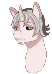 Size: 2507x3541 | Tagged: safe, artist:haodz, oc, oc only, oc:nicole, pony, unicorn, bust, horn, male, male oc, portrait, simple background, solo, white background