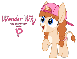 Size: 1754x1363 | Tagged: safe, artist:fillyfool, oc, oc only, oc:wonder why, donkey, hybrid, pony, unicorn, androgynous, backwards ballcap, baseball cap, cap, cutie mark, donkey ears, donkey oc, exclamation point, facial markings, foal, freckles, hat, horn, hybrid oc, interrobang, mealy mouth (coat marking), pale muzzle, question mark, reference sheet, simple background, solo, tomboy, transparent background, unicorn oc