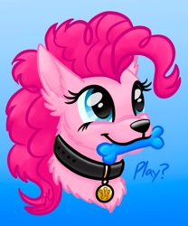 Size: 1605x1933 | Tagged: safe, artist:tygerthezebra, pinkie pie, dog, g4, bust, collar, cute, diapinkes, dog toy, dogified, female, gradient background, mare, mouth hold, pet tag, portrait, puppy pie, smiling, solo, species swap