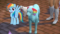 Size: 1170x656 | Tagged: safe, fluttershy, rainbow dash, cat, dog, equestria girls, g4, game screencap, solo, the sims, the sims 4