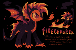 Size: 2048x1365 | Tagged: safe, artist:squilko, part of a set, oc, oc only, oc:firecracker, dracony, dragon, hybrid, pony, g4, antagonist, bald face, big eyes, black background, black coat, blaze (coat marking), coat markings, colored belly, colored claws, colored pinnae, colored sclera, dragon tail, facial markings, fire, frown, mane of fire, mohawk, orange sclera, profile, red eyes, red text, simple background, slit pupils, solo, sparkly wings, spiked tail, spread wings, standing, tail, text, three toned wings, wings