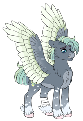 Size: 1920x2796 | Tagged: safe, artist:malinraf1615, oc, oc only, pegasus, pony, alternate universe, bags under eyes, bandage, bandaged leg, blue eyes, blue pupils, cheek fluff, chest fluff, coat markings, colored belly, colored eyebrows, colored hooves, colored pupils, colored wings, colored wingtips, ear fluff, facial markings, feathered fetlocks, floppy ears, fluffy, frown, gray coat, green wingtips, hooves, male, male oc, multicolored wings, multicolored wingtips, offspring, pale belly, parent:dumbbell, parent:rainbow dash, parents:dumbdash, pink hooves, raffle prize, short mane, short tail, simple background, snip (coat marking), socks (coat markings), solo, spots, spotted wings, spread wings, stallion, stallion oc, standing, straight mane, straight tail, striped mane, striped tail, tail, three toned mane, three toned tail, transparent background, two toned wings, unshorn fetlocks, wing markings, wings