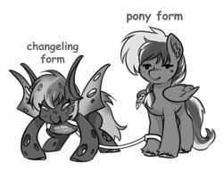 Size: 4096x3164 | Tagged: safe, artist:opalacorn, part of a set, oc, oc only, oc:shade demonshy, changeling, pegasus, pony, black and white, changeling oc, commission, disguise, disguised changeling, duality, frown, grayscale, harness, leash, monochrome, narrowed eyes, self changelingdox, self paradox, self ponidox, simple background, smiling, solo, unshorn fetlocks, white background, ych result