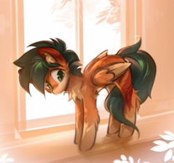 Size: 2600x2440 | Tagged: safe, artist:mirroredsea, oc, oc only, pegasus, pony, arched back, behaving like a cat, chest fluff, coat markings, hock fluff, socks (coat markings), solo