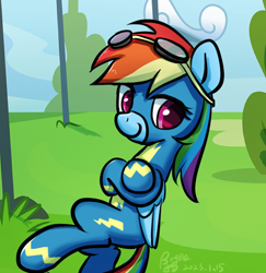 Size: 620x639 | Tagged: safe, artist:brella, rainbow dash, pegasus, pony, g4, clothes, female, grass, grass field, looking at you, smiling, solo, uniform, wonderbolts uniform