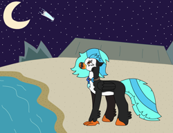 Size: 2491x1924 | Tagged: safe, artist:supahdonarudo, oc, oc only, oc:icebeak, classical hippogriff, hippogriff, beach, jewelry, looking up, moon, necklace, night, ocean, sad, shooting star, stars, water