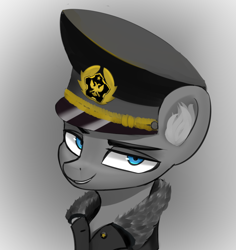 Size: 862x914 | Tagged: safe, artist:houl2902, oc, oc only, pony, bust, clothes, hat, jacket, military hat, solo