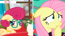 Size: 1192x670 | Tagged: safe, edit, edited screencap, screencap, fluttershy, posey shy, pegasus, pony, flutter brutter, g4, duo, duo female, episode needed, female, like mother like daughter, like parent like child, mother and child, mother and daughter