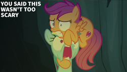 Size: 2000x1125 | Tagged: safe, edit, edited screencap, editor:quoterific, screencap, rainbow dash, scootaloo, pegasus, pony, campfire tales, g4, season 7, duo, duo female, female, filly, foal, mare, open mouth, scared, siblings, sisters