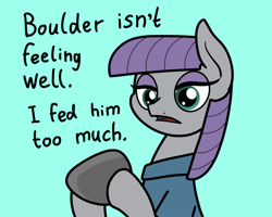 Size: 2048x1637 | Tagged: safe, artist:ewoudcponies, boulder (g4), maud pie, earth pony, pony, g4, blue background, cyan background, dialogue, duo, female, hoof hold, lidded eyes, mare, simple background, talking to viewer