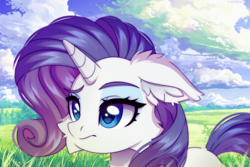 Size: 6000x4000 | Tagged: safe, artist:stesha, rarity, pony, unicorn, g4, absurd resolution, cheek fluff, cloud, ear fluff, eyeshadow, female, floppy ears, grass, horn, makeup, mare, outdoors, scenery, sky, solo, tail, wallpaper