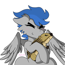 Size: 3072x3072 | Tagged: safe, artist:vinyvitz, oc, oc only, oc:shade ru, boar, pegasus, blushing, eyes closed, hug, plushie, simple background, solo, spread wings, squished, transparent background, wings