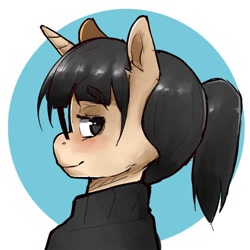 Size: 800x800 | Tagged: safe, artist:chinmissouri, oc, oc only, pony, unicorn, horn, ponytail, solo