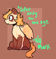 Size: 2390x2509 | Tagged: safe, artist:junglefiend, oc, oc only, pegasus, pony, blue eyes, brown background, brown coat, coat markings, cream coat, mottled coat, orange mane, orange tail, reference sheet, simple background, sitting, socks (coat markings), solo, tail, tan coat, wings