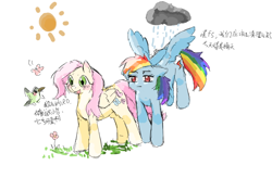 Size: 1024x720 | Tagged: safe, artist:mio06597, fluttershy, rainbow dash, bird, pegasus, pony, g4, cloud, duo, duo female, female, flower, flying, grass, mare, rain, raincloud, simple background, spread wings, sun, text, white background, wings