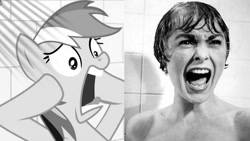 Size: 1192x670 | Tagged: safe, artist:thetremendousmario, rainbow dash, human, pegasus, pony, g4, alfred hitchcock, black and white, female, grayscale, janet leigh, mare, marion crane, monochrome, movie reference, psycho, screaming, shower, side by side