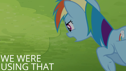 Size: 1920x1080 | Tagged: safe, edit, edited screencap, editor:quoterific, screencap, rainbow dash, pegasus, pony, g4, rainbow falls, season 4, caption, flying, grass, solo, text