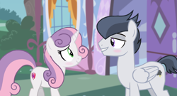 Size: 1382x744 | Tagged: safe, artist:lunaticdawn, rumble, sweetie belle, pegasus, pony, unicorn, g4, blushing, carousel boutique, cute, duo, duo male and female, eye contact, female, horn, looking at each other, looking at someone, male, mare, older, older rumble, older sweetie belle, ship:rumbelle, shipping, smiling, stallion, standing, straight