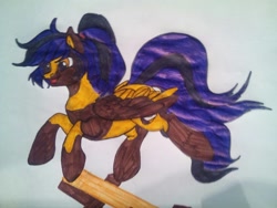 Size: 1632x1224 | Tagged: artist needed, source needed, safe, oc, oc only, oc:woo, pegasus, pony, female, mare, solo