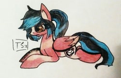 Size: 1725x1118 | Tagged: artist needed, source needed, safe, oc, oc only, oc:woo, pegasus, pony, female, mare, solo, traditional art