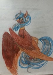 Size: 529x742 | Tagged: artist needed, source needed, safe, oc, oc only, oc:woo, pegasus, pony, female, mare, solo, traditional art