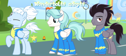 Size: 1280x567 | Tagged: safe, artist:vi45, oc, oc only, pegasus, pony, clothes, male, stallion, uniform, winmk, wonderbolt trainee uniform, wonderbolts uniform