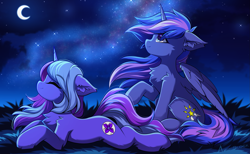 Size: 2007x1240 | Tagged: safe, artist:airiniblock, oc, oc only, oc:moon violet, oc:night shine, alicorn, unicorn, chest fluff, duo, ear fluff, female, horn, mare, moon, night, sky, stars