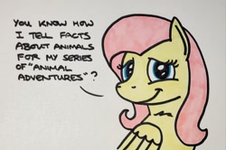 Size: 2048x1360 | Tagged: safe, artist:hoofclid, fluttershy, pegasus, pony, g4, bust, cute, dialogue, lidded eyes, marker drawing, shyabetes, solo, talking to viewer, traditional art