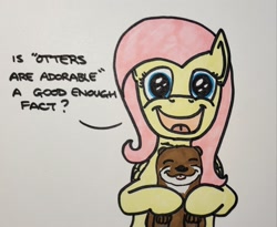 Size: 2048x1681 | Tagged: safe, artist:hoofclid, fluttershy, otter, pegasus, pony, g4, cute, dialogue, looking at you, marker drawing, open mouth, open smile, shyabetes, smiling, smiling at you, solo, talking to viewer, traditional art