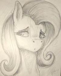 Size: 2289x2849 | Tagged: safe, artist:br333, fluttershy, g4, auction, pencil drawing, traditional art