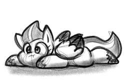 Size: 874x566 | Tagged: safe, artist:zutcha, zipp storm, pegasus, pony, g5, :t, adorazipp, cute, grayscale, lying down, monochrome, prone, simple background, solo, sploot, white background