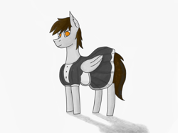 Size: 4080x3060 | Tagged: safe, artist:kokopingas98, oc, oc only, oc:anthon, pegasus, pony, clothes, crossdressing, digital art, looking at you, maid, male, shadow, simple background, smiling, smiling at you, solo