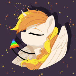 Size: 2000x2000 | Tagged: safe, oc, oc only, oc:cokecoffee, alicorn, pony, alicorn oc, braid, bust, eyes closed, female, horn, jewelry, mare, pendant, portrait, solo, starry sky, wings