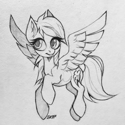 Size: 960x960 | Tagged: safe, artist:dethscript, rainbow dash, pegasus, pony, g4, black and white, female, flying, grayscale, mare, monochrome, pencil drawing, signature, simple background, sketch, smiling, solo, spread wings, traditional art, white background, wings