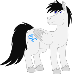 Size: 2009x2074 | Tagged: safe, artist:thecanadiantoony2001, oc, oc only, oc:shane park, pegasus, g4, male, simple background, solo, stallion, transparent background