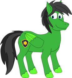 Size: 944x1021 | Tagged: safe, artist:thecanadiantoony2001, oc, oc only, oc:star armour, pegasus, male, simple background, solo, transparent background