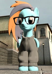 Size: 1788x2527 | Tagged: safe, artist:gmodponies, derpibooru exclusive, oc, oc only, pegasus, pony, 3d, clothes, counter-strike, cs italy, glasses, gmod, hoodie, looking to the left, male, stallion, standing