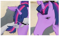 Size: 1661x1036 | Tagged: artist needed, source needed, useless source url, safe, twilight sparkle, horse, human, unicorn, g4, 2 panel comic, comic, ears up, floppy ears, forelock, haircut, hoers, horn, ponified animal photo, scissors, unicorn twilight