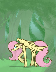 Size: 700x900 | Tagged: safe, artist:summerbeachyt, fluttershy, pegasus, pony, g4, forest, nature, solo, tree