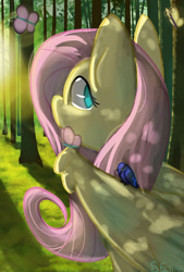 Size: 1280x1897 | Tagged: safe, artist:summerbeachyt, fluttershy, bird, pegasus, pony, g4, dappled sunlight, forest, nature, solo, tree