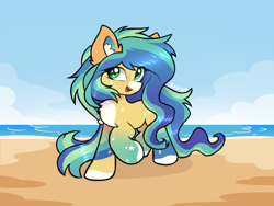 Size: 2000x1500 | Tagged: safe, artist:rejiser, oc, oc only, earth pony, pony, beach, chest fluff, cloud, coat markings, colored ear fluff, colored pinnae, ear fluff, facial markings, female, gradient legs, green eyes, long hair, long tail, mealy mouth (coat marking), ocean, open mouth, open smile, pale belly, raised hoof, sky, smiling, socks (coat markings), solo, star mark, stars, tail, water