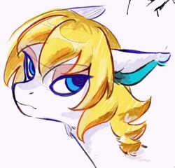 Size: 1398x1342 | Tagged: safe, artist:bluestarpipixing, pony, animal crossing, blonde mane, blue eyes, bust, colton (animal crossing), ponified, portrait, simple background, solo, unamused, white background, white coat