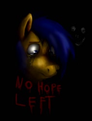 Size: 600x788 | Tagged: safe, artist:juninhooficial, oc, oc only, oc:juninho, earth pony, pony, caption, darkness, depressed, nightmare fuel, sad, scary, smiley face, solo, text, vent art