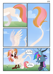 Size: 3999x5656 | Tagged: safe, artist:belka-sempai, oc, oc only, oc:azure star (fauli1221), oc:belka, draconequus, griffon, pony, comic, cute, griffonized, horn, species swap, speech bubble, text, transformation, transformation sequence