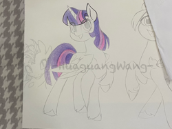 Size: 3000x2249 | Tagged: safe, artist:shiwei90823, twilight sparkle, alicorn, pony, unicorn, g4, duo, duo female, female, horn, photo, sketch, traditional art, twilight sparkle (alicorn), wip