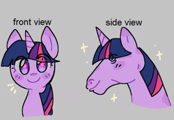 Size: 1145x790 | Tagged: safe, artist:koasku, twilight sparkle, alicorn, pony, unicorn, g4, female, front view, gray background, hoers, horn, humor, looking at you, mare, side view, simple background, smiling, smiling at you, solo, sparkles, suddenly hoers