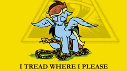 Size: 1200x675 | Tagged: safe, artist:pony-berserker, rainbow dash, pony-berserker's twitter sketches, g4, conspiracy, don't tread on me, gadsden flag, gadsden snake, i tread where i please, illuminati, illuminati confirmed, parody, parody of a parody, pony-berserker's twitter sketches (2024), satire